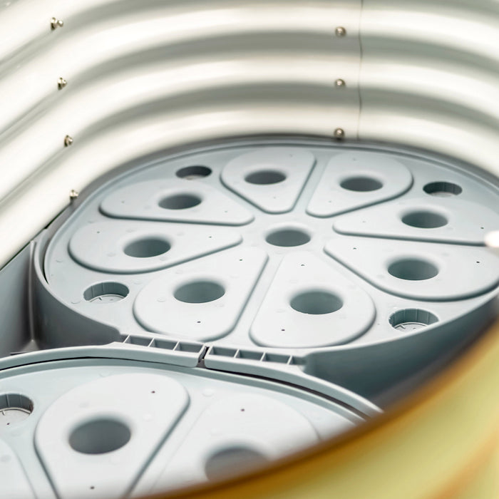 Self-Watering Garden Bed - 2' x 6'