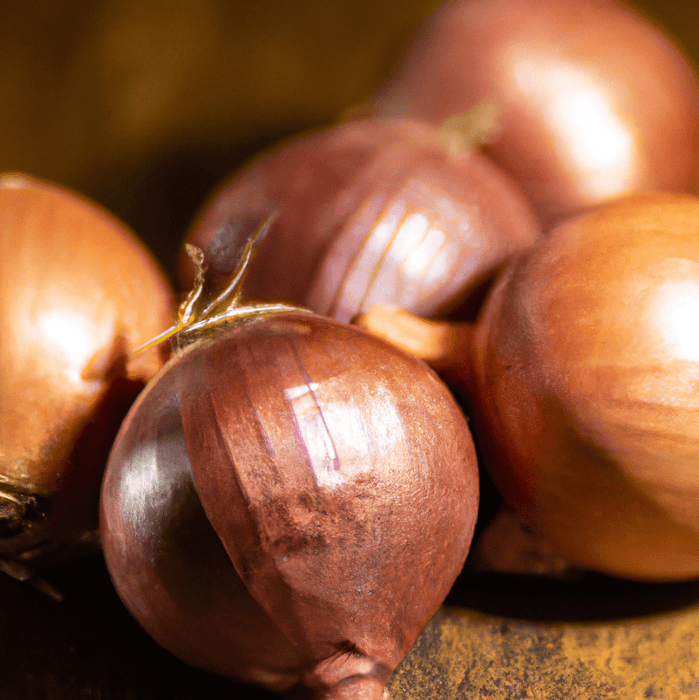 PREORDER Organic French Red Shallots (lb)
