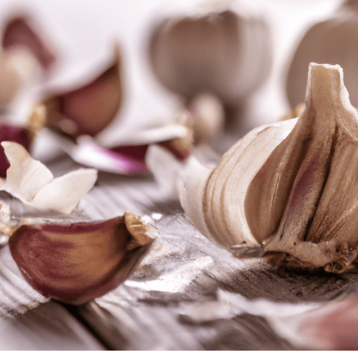 PREORDER Spanish Roja Garlic (lb)