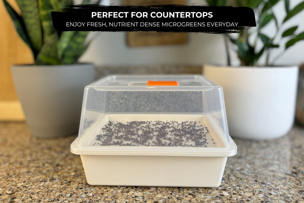 Sproutlet Indoor Microgreen Grow Kit: 3-Pack