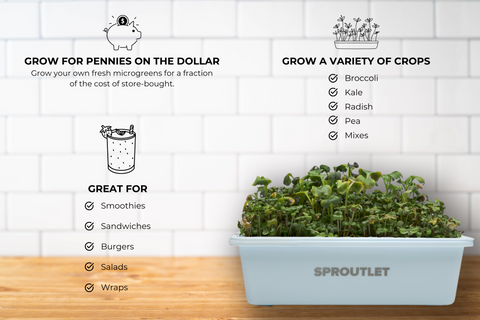 Sproutlet Indoor Microgreen Grow Kit: 3-Pack