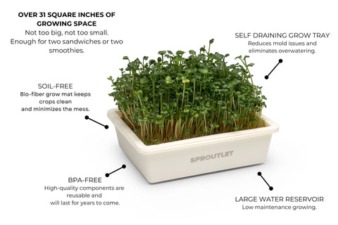 Sproutlet Indoor Microgreen Grow Kit: 3-Pack