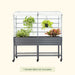 Portable metal raised garden bed with white mesh greenhouse cover, various plants, and lower storage shelf.