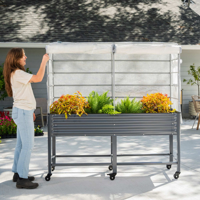 Gardener with rolling corrugated metal raised garden bed, greenhouse cover, and colorful plants.