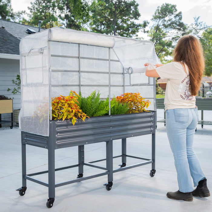 Woman opens rolling raised garden bed with greenhouse cover, full of colorful outdoor plants. Perfect for small space gardening.