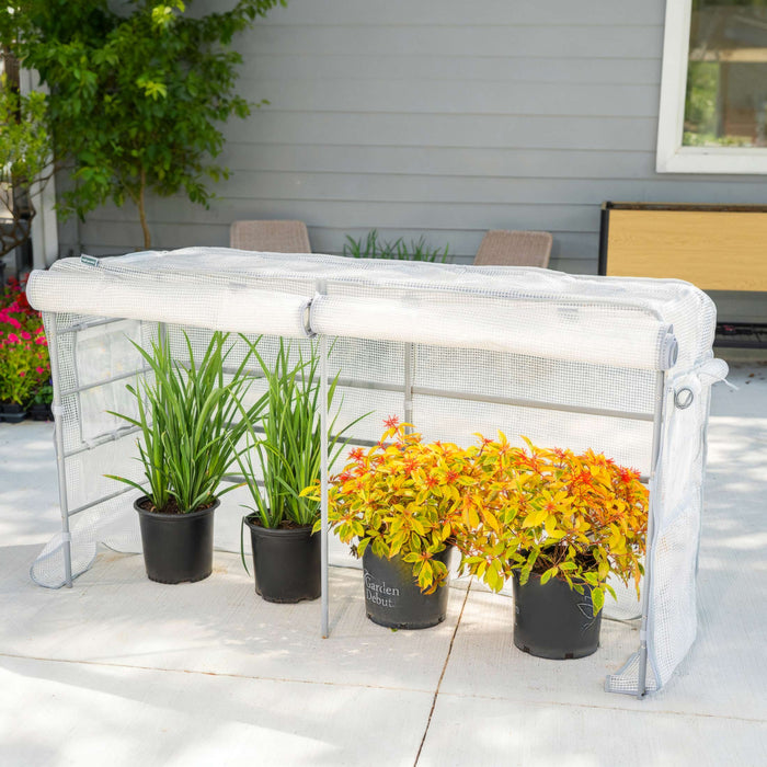 White portable greenhouse protecting green and yellow-orange potted plants on a patio. Ideal outdoor garden plant cover.