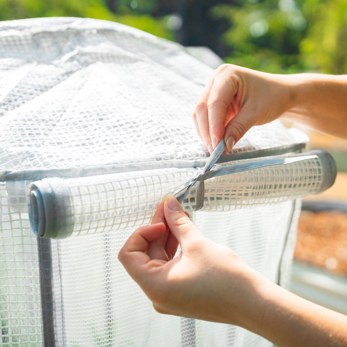 Securing a roll-up door on a mini greenhouse with a gray tie. Protects seedlings and plants in the garden.