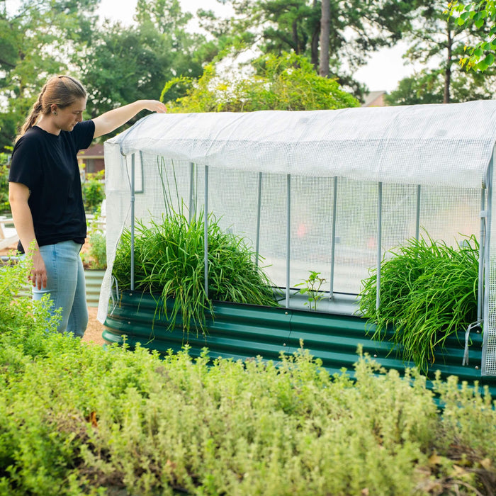 Woman tending green corrugated raised garden bed with white hoop house cover, growing fresh herbs.