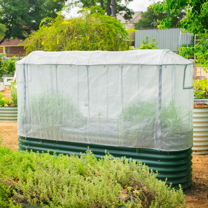 Green corrugated raised garden bed with white greenhouse grow tunnel cover. Perfect for protecting plants and extending growing season.