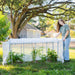 Woman adjusts clear mini greenhouse protecting young garden plants. Ideal for frost protection & seedling starter.