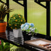 Greenhouse black shelf displaying potted snake plant, orange flowers, blue artificial bouquet, and gardening tools.