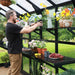 Man gardening in a modern black greenhouse, arranging colorful flowers and plants on shelves. Transparent roof, outdoor backyard.