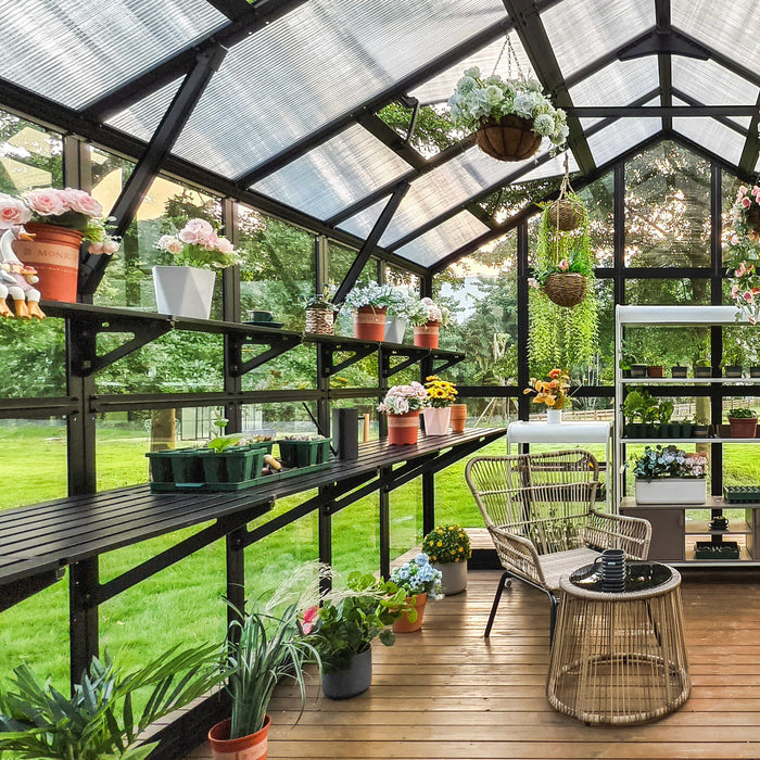 Stylish greenhouse interior with vibrant potted plants, colorful flowers, wooden shelves, comfortable wicker chair, and coffee table.