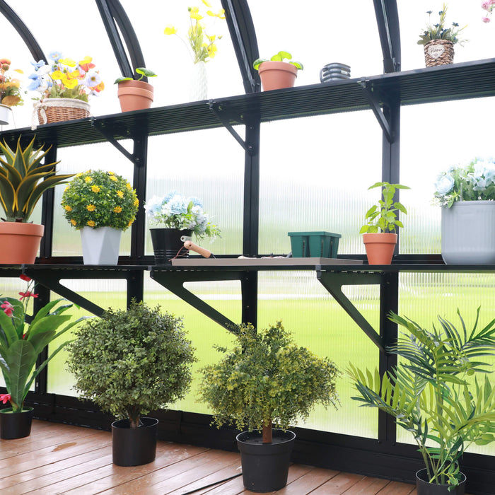 Greenhouse interior with black shelves, diverse potted plants, vibrant flowers, and gardening tools. Wooden floor, bright light.