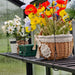 Vibrant artificial poppies & daisies in decorative wicker baskets & a "Home Cafe" pot on a greenhouse shelf, raindrops on glass.