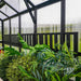 Lush green plants within a modern greenhouse, featuring corrugated polycarbonate panels, black frame, and an outdoor view.