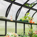 Spacious backyard greenhouse with black frame, polycarbonate panels, auto vent, shelf of seedlings, and garden plants.