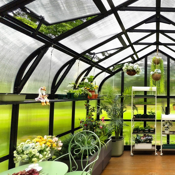 Spacious greenhouse with black frame, clear panels, vibrant plants, hanging flowers, cozy green seating, and wood floor.