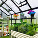 Modern greenhouse with clear polycarbonate panels, roof vents, diverse potted plants, colorful flowers, and a large metal raised garden bed.