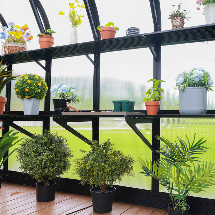 Greenhouse interior with multiple potted plants, vibrant flowers & gardening supplies on black shelves. Wooden floor, green exterior.