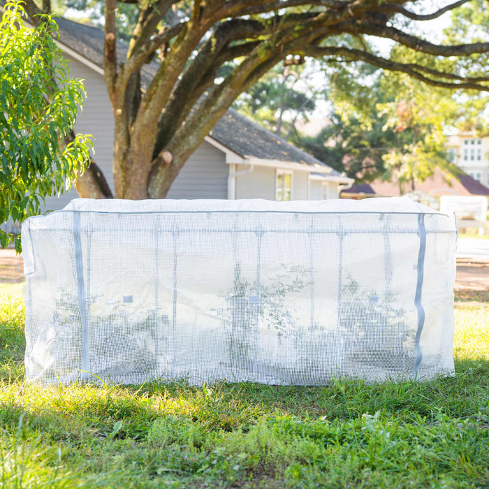 White portable mini greenhouse with zipper on green grass, protecting plants. Outdoor garden plant cover.