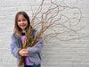 Smiling child holding a large bundle of curly brown branches against a white brick wall. Ideal for spring decor or nature crafts.