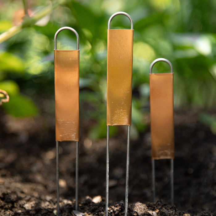 Three copper plant labels in dark garden soil. Elegant, durable markers for vegetables, herbs, or flowers.