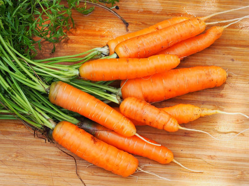 Freshly harvested organic orange carrots with vibrant green tops on a wooden cutting board.