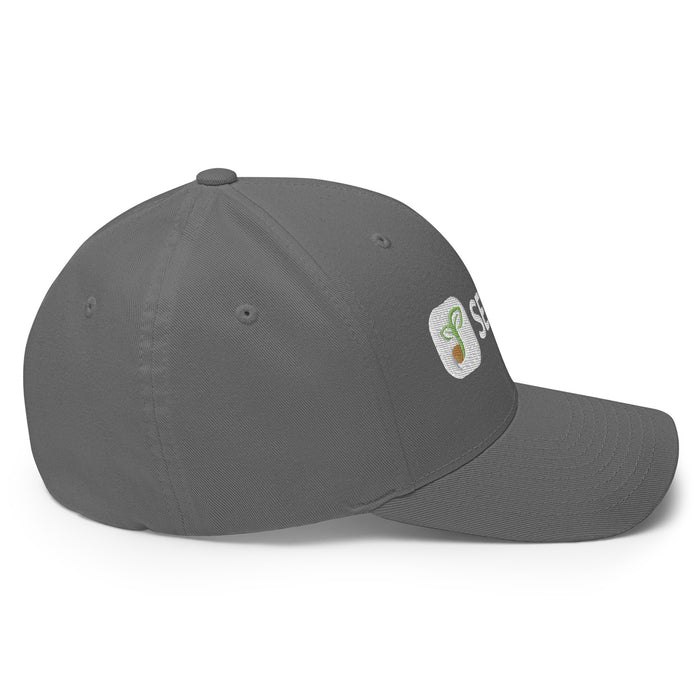 Seedtime Cap