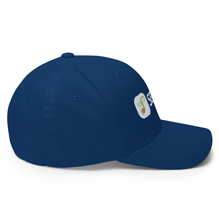 Seedtime Cap