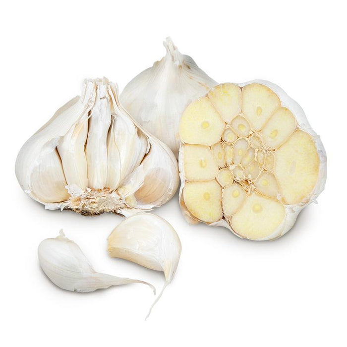PREORDER California Early White Garlic (lb)