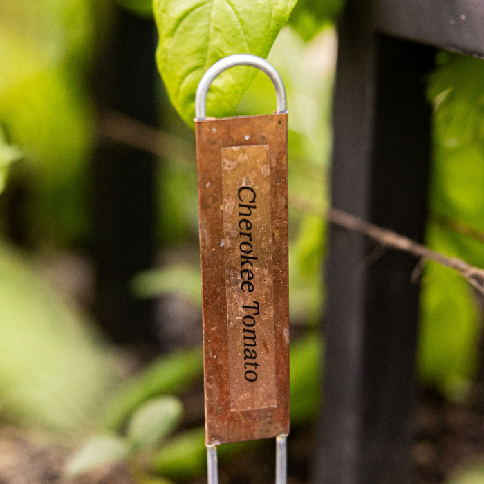 Heirloom Cherokee Tomato plant marker in a vibrant garden, copper label identifying the variety.