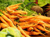 Freshly harvested orange carrots with green tops and a beet. Healthy organic root vegetables and garden produce.