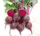 Fresh whole and halved beets with green tops, revealing vibrant red flesh. Healthy root vegetables.