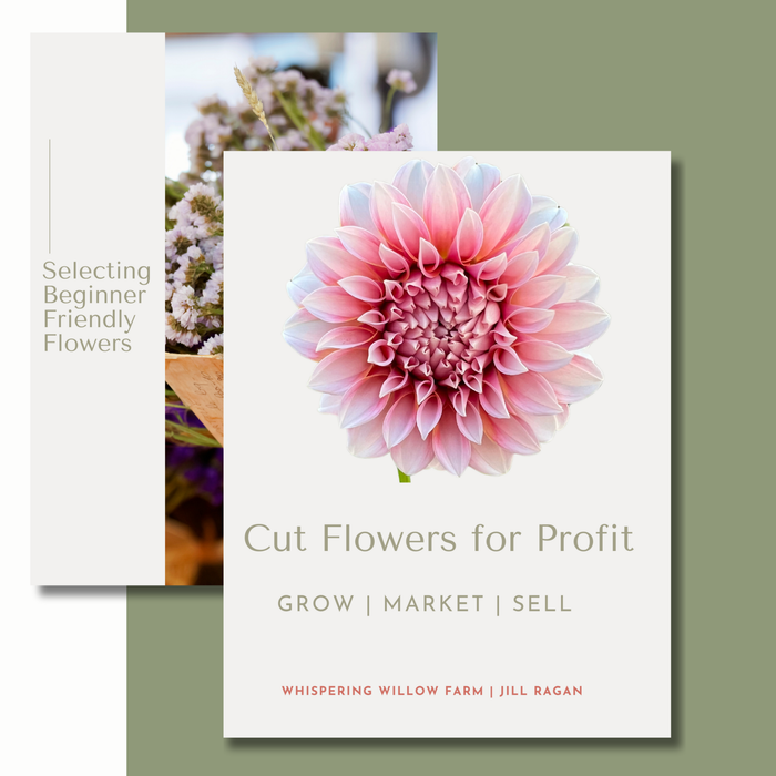 Pink dahlia on "Cut Flowers for Profit" guide. Learn to grow, market, sell flowers. Also "Beginner Friendly Flowers" visible.