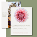 Pink dahlia on "Cut Flowers for Profit" guide. Learn to grow, market, sell flowers. Also "Beginner Friendly Flowers" visible.
