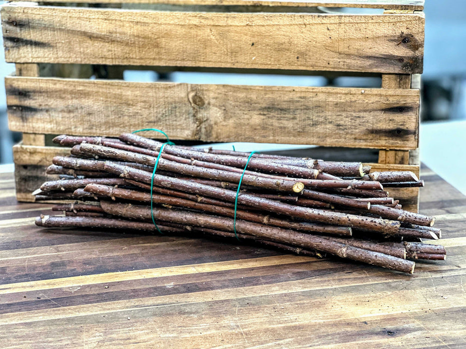 PREORDER York Elderberries