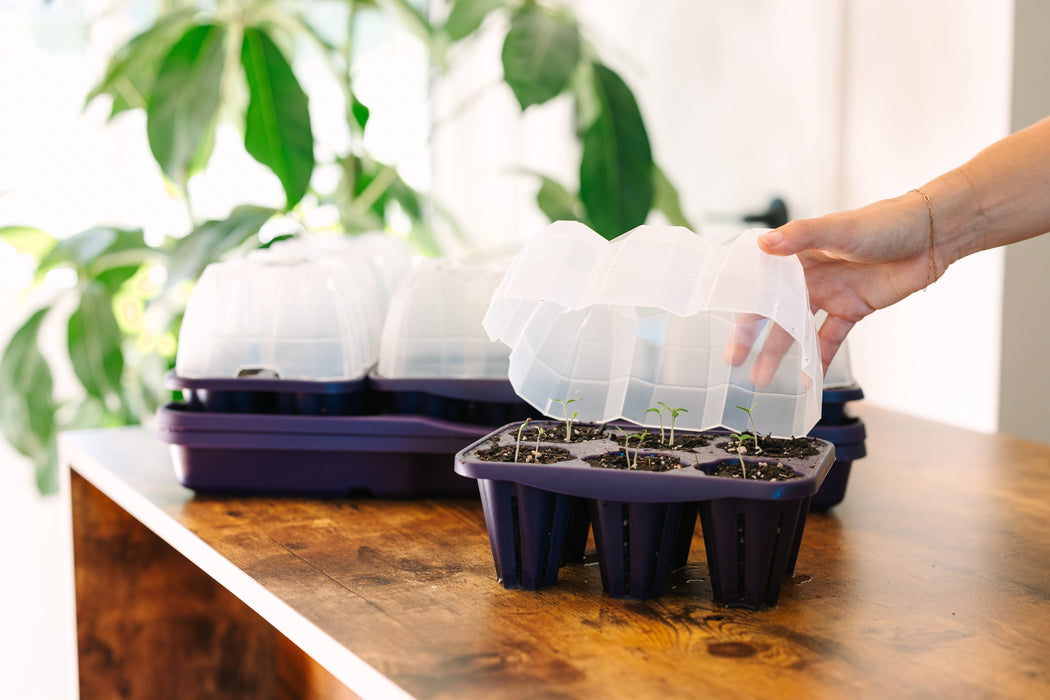 GreenStalk Garden Seed Starter Kit with Domes