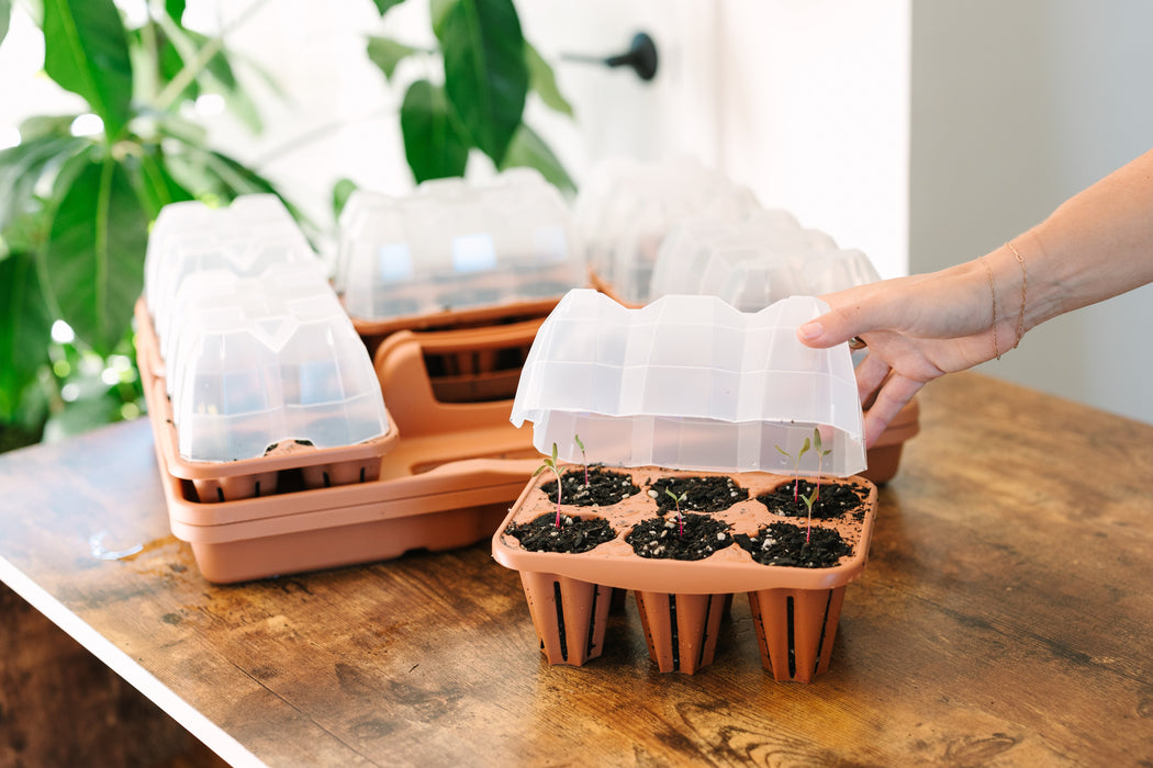GreenStalk Garden Seed Starter Kit with Domes