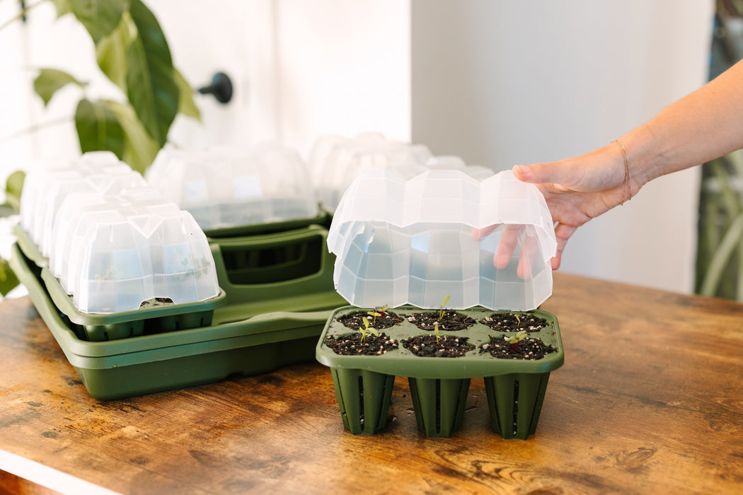 GreenStalk Garden Seed Starter Kit with Domes