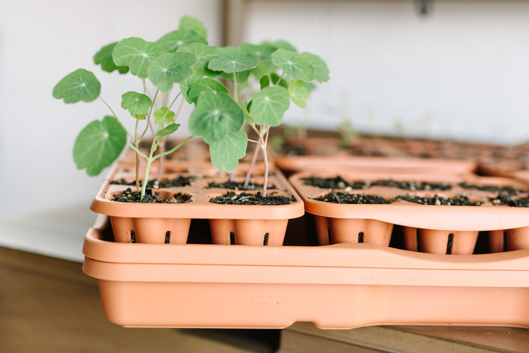 GreenStalk Garden Seed Starter Kit with Domes