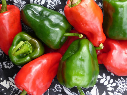 Assortment of vibrant red and green bell peppers on a patterned black and white fabric.