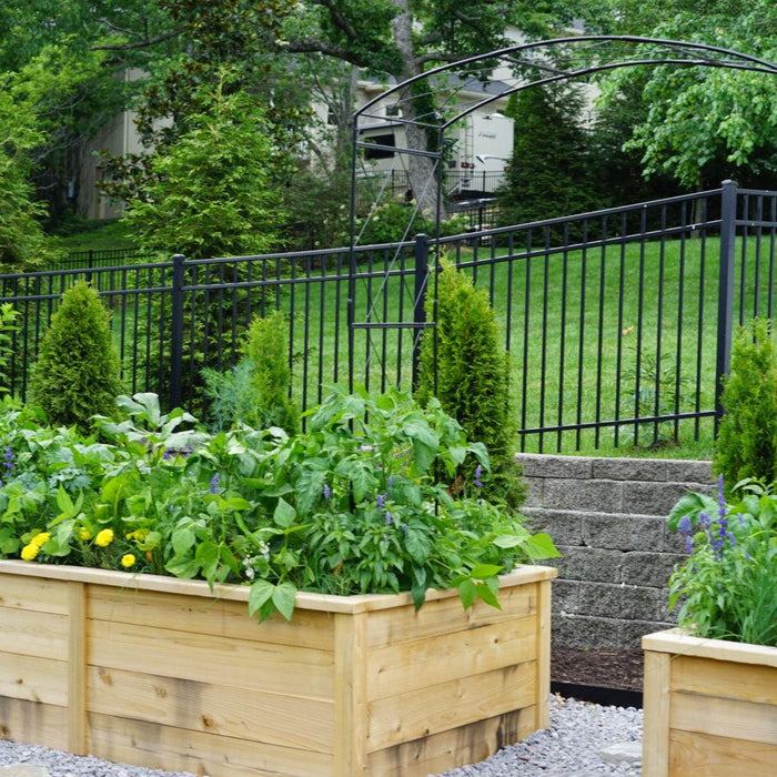 Gardenary Cedar Raised Garden Beds with Trim