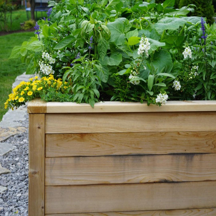 Gardenary Cedar Raised Garden Beds with Trim