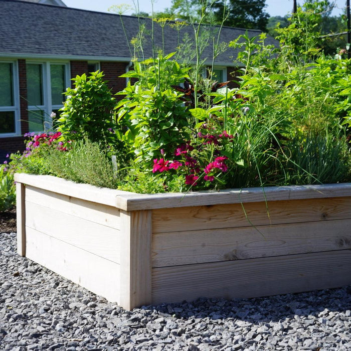 Gardenary Cedar Raised Garden Beds with Trim