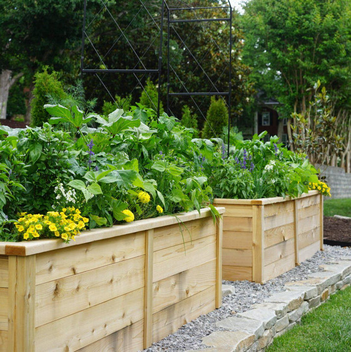 Gardenary Cedar Raised Garden Beds with Trim