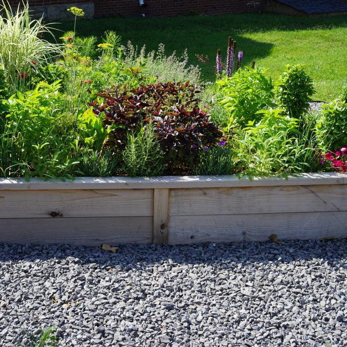 Gardenary Cedar Raised Garden Beds with Trim
