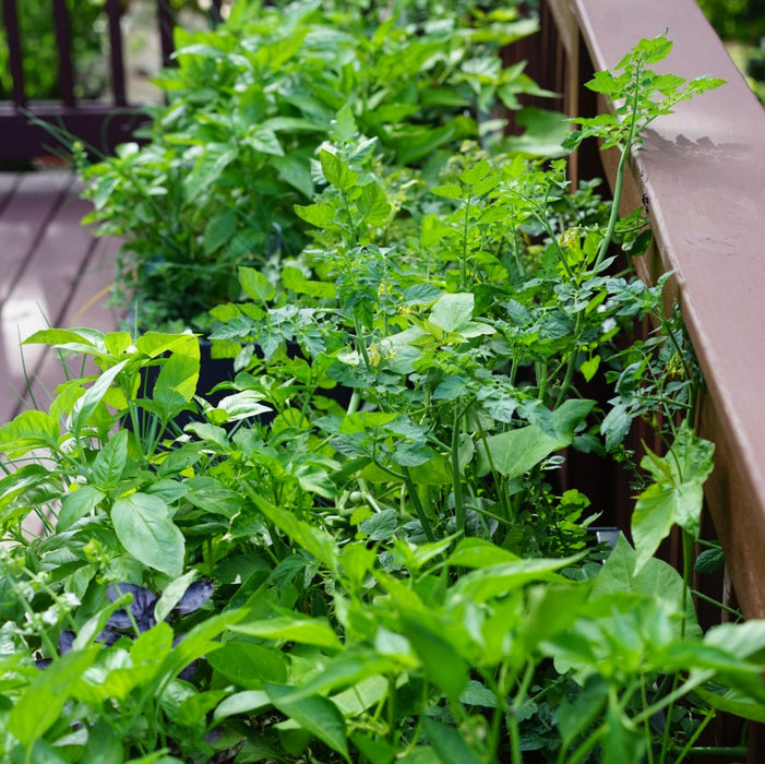 Aluminum Raised Bed (Optional Casters)