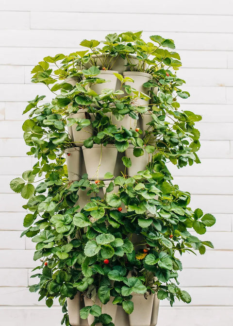7 Tier GreenStalk Leaf Vertical Planter - Basic Texture