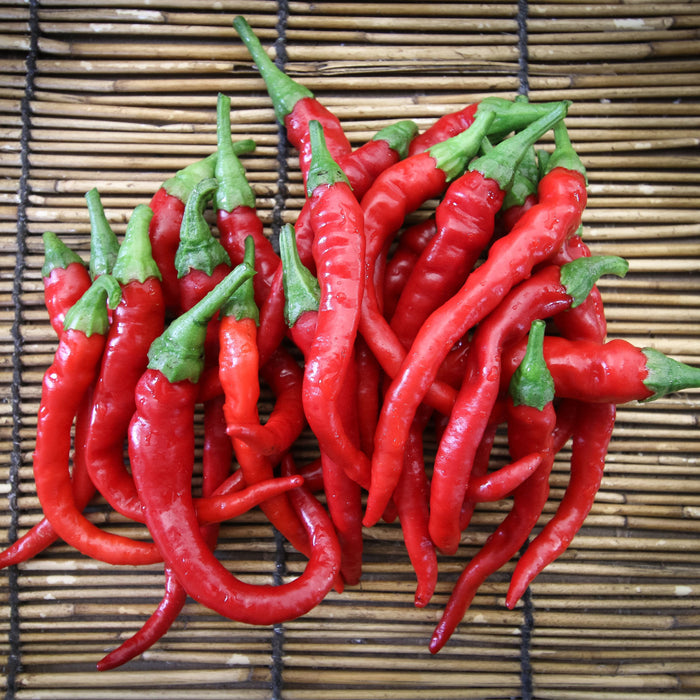 Cayenne Long Slim Pepper